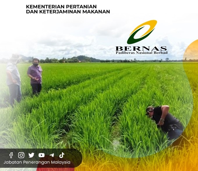 Bernas Salur Sumbangan Rm Juta Kepada Pesawah Di Buah Negeri Iaitu