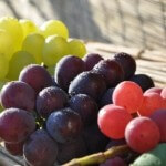 muscat-grapes