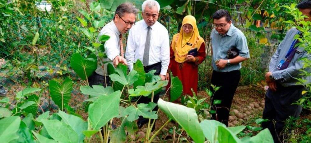 Jepun Kagum Konsep Lestari Pertanian Dalam Sekolah - Malaysiaaktif