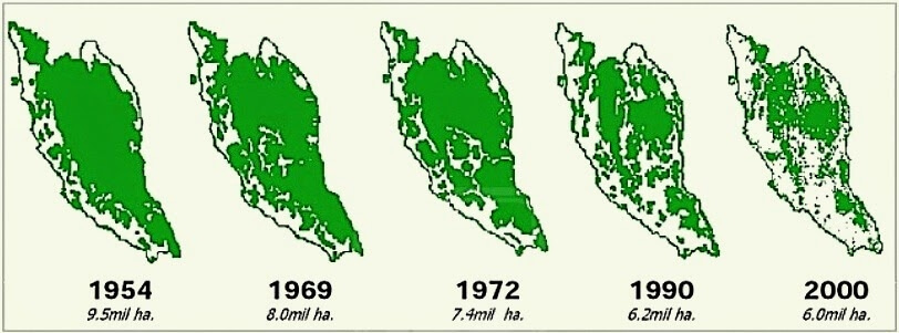 Jumlah Keluasan Hutan di Semenanjung dari tahun 1954 hingga 2000 (berkurang sebanyak 3.5 juta hektar)