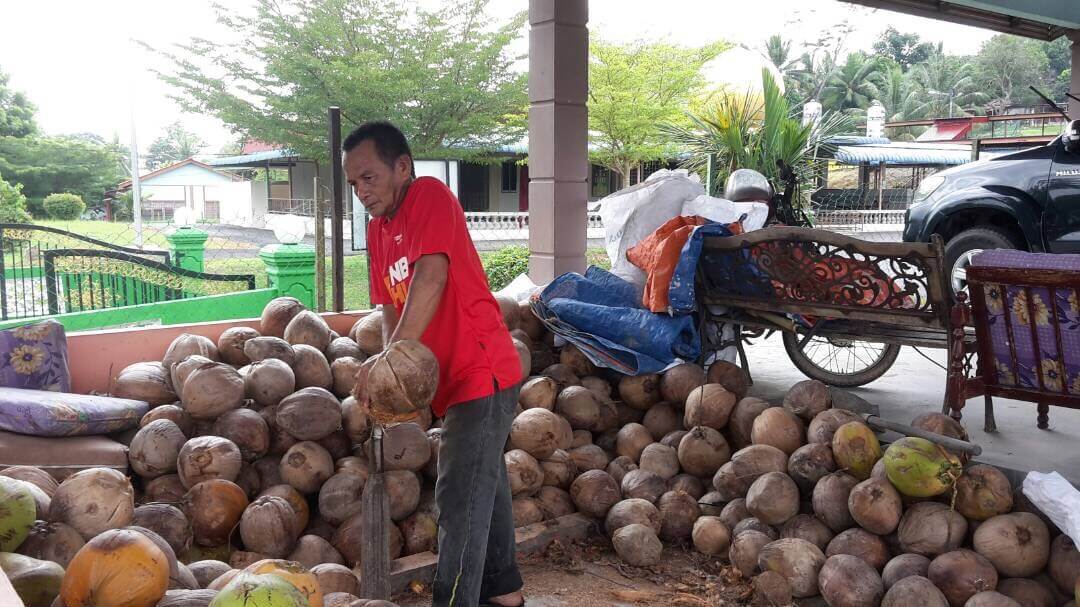 Masalah kekurangan kelapa dan peningkatan harga kelapa menjadi cabaran kepada Abdull Latif