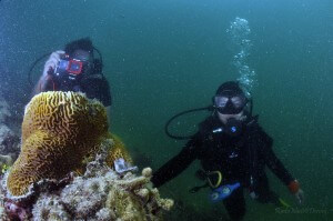 . Para penyelam tidak akan dapat menikmati keindahan terumbu karang jika air laut tercemar. 