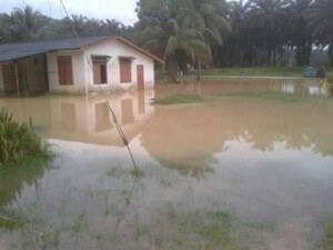 Kampung Padang Kubu, di sini turut dinaiki air. 