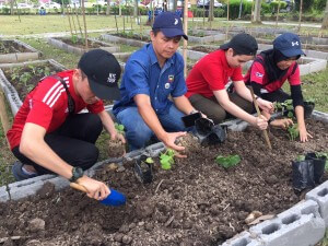 Salah seorang staf DBKK turut sama-sama membantu komuniti sekitar menjalankan kegiatan penanaman sayur-sayuran.