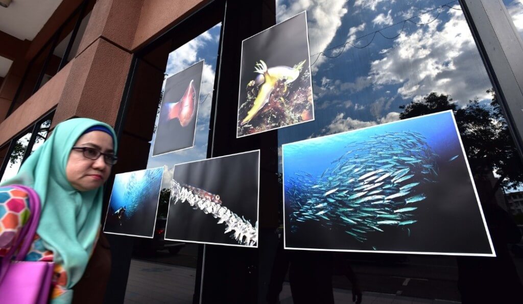 Antara koleksi foto bawah laut daripada pempamer Rudy Matahari