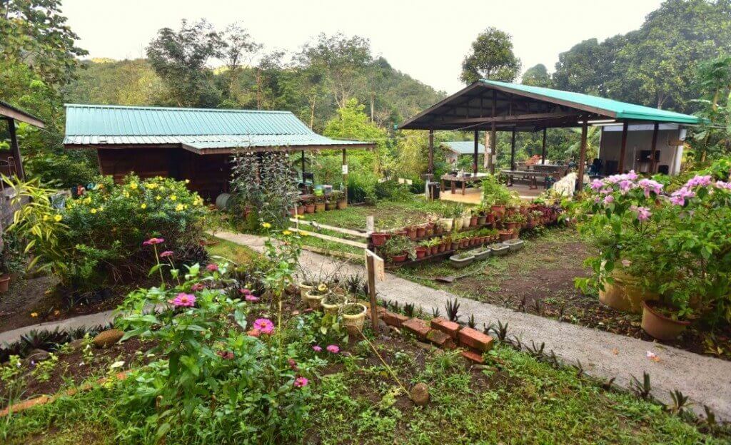 Permandangan menarik rumah kebun milik Jurinah.