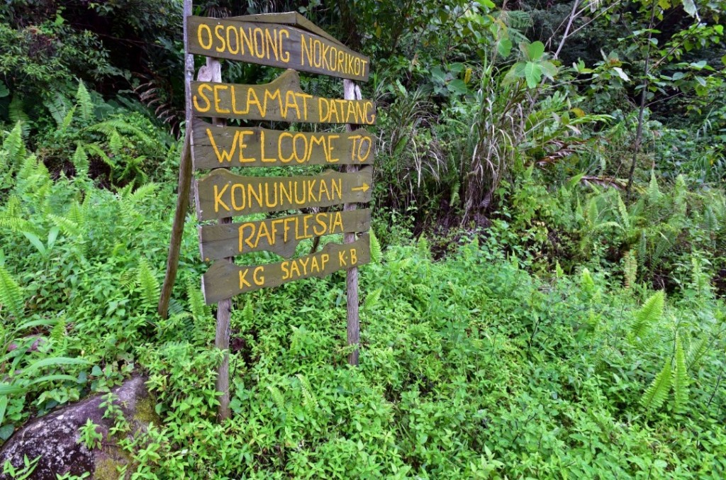 Papan tanda ke Konunukan Rafflesia