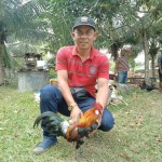 Abu Bakar Ab.Majid, Pengusaha membiakkan baka ayam hutan hibrid untuk pasaran