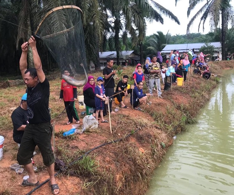 Aktiviti memancing kolam ikan air tawar sesuai diadakan untuk pengunjung beriadah bersama keluarga