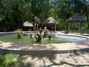 Persekitaran kolam yang dikelilingi kehijauan hutan rimba menggamit kunjungan