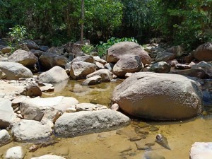 Lokasi sungai bagi aktiviti pengunjung bersama keluarga