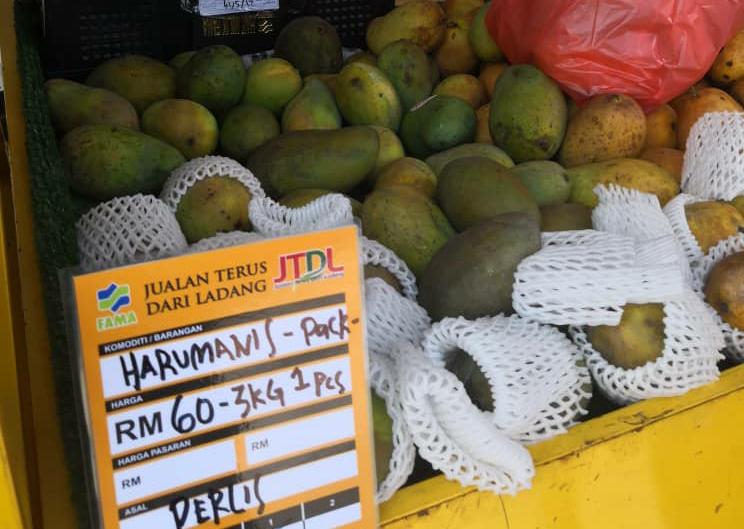 Harumanis dijual pada harga RM60 untuk 3 kilogram