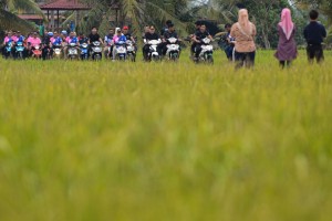 Kerabat Diraja Johor dibawa melawat ke sawah padi sebaik sahaja tiba di Kesang Tasek, Tangkak