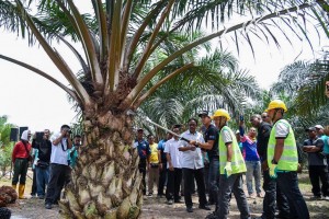Tunku Panglima Johor Tunku Abdul Rahman menyertai acara memotong buah kelapa sawit.
