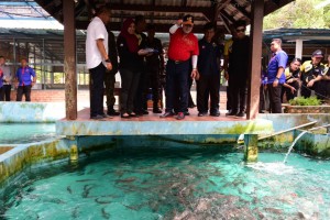Sultan Johor memberi makan ikan kelah di pusat pembenihan dan pemeliharaan ikan kelah, Far East Planet.
