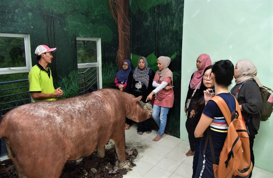 Para peserta turut tidak melepaskan peluang melihat Si Putung, badak sumbu sumatera yang telah diawet.