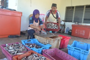 Safidazura sedang membersihkan bekalan ikan tambang yang diperolehi untuk dibuat keropok