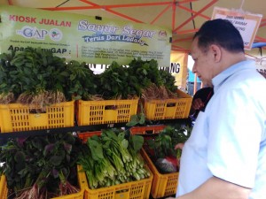 Pelbagai jenis sayuran segar dijual
