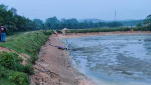 Kolam ikan keli berhampiran Sungai Tinggi, Hulu Selangor yang disyaki menjadi punca pencemaran bau di Sungai Selangor hari ini.
