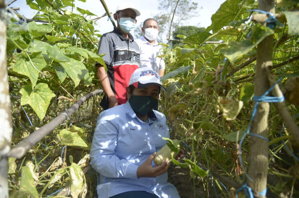 Fary (depan) melihat sendiri hasil tanaman berkonsepkan pertanian bandar di Kebun Komuniti Kampung Layang-Layangan, di sini.