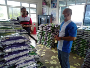 ADUN Permaisuri, Datuk Abd Halim Jusoh meninjau stok beras di Pejabat DUN Permaisuri sebelum diagihkan kepada penduduk kampung, semalam.