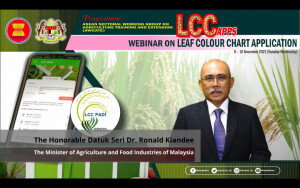 MAFI turut mempromosi, menggalakkan, mengajar dan memupuk generasi belia untuk terlibat dalam sub industri padi dan beras dengan memperkasakan peluang sedia ada melalui pendedahan kepada generasi muda - Datuk Seri Dr. Ronald Kiandee