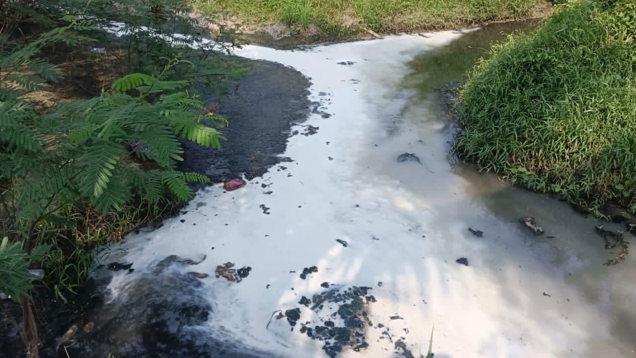 Sisa Arang Batu, Minyak Sawit Punca Sungai Serdang Tercemar – LUAS ...