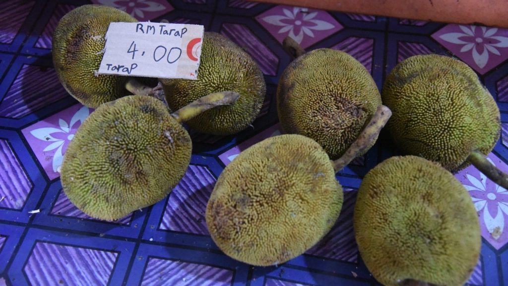 Tarap Buah Kegemaran Warga Labuan – Malaysiaaktif