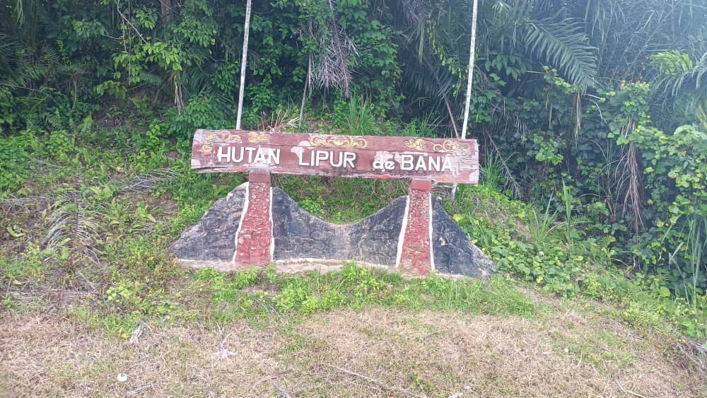 Hutan Lipur De Bana Tumpuan Pengunjung Tempatan - Malaysiaaktif